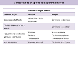 Compuesto de un tipo de célula parenquimatosa
Tumores de origen epitelial
Tejido de origen Benigno Maligno
Escamoso estratificado
Papiloma de células
escamosas
Carcinoma epidermoide
Células basales de la piel o
anexos
Carcinoma basocelular
Recubrimiento endotelial de
glándulas o conductos
Adenoma
Papiloma
Cistoadenoma
Adenocarcinoma
Carcinomas papilares
Cistoadenocarcinoma
Vías respiratorias Adenoma bronquial Carcinoma broncógeno
 