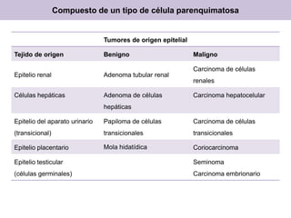 Tumores de origen epitelial
Tejido de origen Benigno Maligno
Epitelio renal Adenoma tubular renal
Carcinoma de células
renales
Células hepáticas Adenoma de células
hepáticas
Carcinoma hepatocelular
Epitelio del aparato urinario
(transicional)
Papiloma de células
transicionales
Carcinoma de células
transicionales
Epitelio placentario Mola hidatídica Coriocarcinoma
Epitelio testicular
(células germinales)
Seminoma
Carcinoma embrionario
Compuesto de un tipo de célula parenquimatosa
 