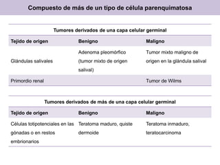 Compuesto de más de un tipo de célula parenquimatosa
Tumores derivados de una capa celular germinal
Tejido de origen Benigno Maligno
Glándulas salivales
Adenoma pleomórfico
(tumor mixto de origen
salival)
Tumor mixto maligno de
origen en la glándula salival
Primordio renal Tumor de Wilms
Tumores derivados de más de una capa celular germinal
Tejido de origen Benigno Maligno
Células totipotenciales en las
gónadas o en restos
embrionarios
Teratoma maduro, quiste
dermoide
Teratoma inmaduro,
teratocarcinoma
 