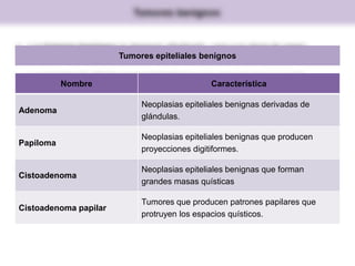 Tumores benignos
 Los tumores benignos se designan añadiendo –oma a la célula de origen.
 Los tumores de células mesenquimatosas generalmente siguen la regla.
 Fibroma.
 Lipoma.
 Condroma.
 Osteoma.
 Los tumores epiteliales benignos tienen una nomenclatura más compleja.
 Los pólipos son proyecciones visibles sobre una superficie mucosa.
Nombre Característica
Adenoma
Neoplasias epiteliales benignas derivadas de
glándulas.
Papiloma
Neoplasias epiteliales benignas que producen
proyecciones digitiformes.
Cistoadenoma
Neoplasias epiteliales benignas que forman
grandes masas quísticas
Cistoadenoma papilar
Tumores que producen patrones papilares que
protruyen los espacios quísticos.
Tumores epiteliales benignos
 