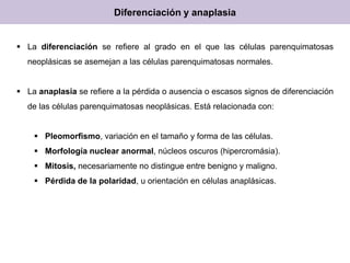 Diferenciación y anaplasia
 La diferenciación se refiere al grado en el que las células parenquimatosas
neoplásicas se asemejan a las células parenquimatosas normales.
 La anaplasia se refiere a la pérdida o ausencia o escasos signos de diferenciación
de las células parenquimatosas neoplásicas. Está relacionada con:
 Pleomorfismo, variación en el tamaño y forma de las células.
 Morfología nuclear anormal, núcleos oscuros (hipercromásia).
 Mitosis, necesariamente no distingue entre benigno y maligno.
 Pérdida de la polaridad, u orientación en células anaplásicas.
 