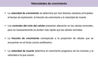 Velocidades de crecimiento
 La velocidad de crecimiento se determina por tres factores celulares principales:
el tiempo de duplicación, la fracción de crecimiento y la velocidad de muerte.
 Los controles del ciclo del celular presentan alteración en las células tumorales,
pero no necesariamente se dividen más rápido que las células normales.
 La fracción de crecimiento corresponde a la proporción de células que se
encuentran en el fondo común proliferativo.
 La velocidad de muerte determina el crecimiento progresivo de los tumores y la
velocidad a la que crecen.
 