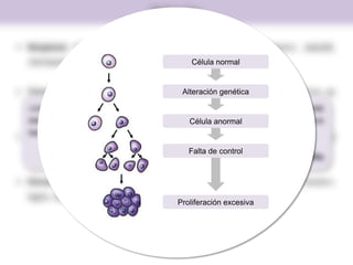 Definición
 Neoplasia significa nuevo crecimiento, del griego neo, «nuevo»; plas(íā),
«formación celular».
 Tumor se aplicó a la tumefacción causada por una inflamación, ahora es
equivalente a neoplasia.
 Cáncer designa una neoplasia o tumor maligno, del latín cancer, «cangrejo»; del
griego karkinos, «cangrejo».
 Oncología es el estudio de los tumores o neoplasias, del griego oncos, «tumor»;
logos, «estudio».
«Una neoplasia es una masa anormal de tejido cuyo crecimiento excede y está
descoordinado con el de los tejidos normales, y persiste de la misma forma excesiva
después de cesar los estímulos que desencadenaron el cambio».
R. A. Willis
Célula normal
Alteración genética
Célula anormal
Falta de control
Proliferación excesiva
 