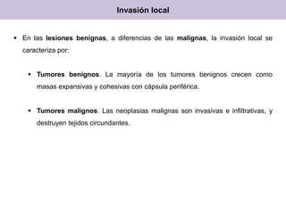 Invasión local
 En las lesiones benignas, a diferencias de las malignas, la invasión local se
caracteriza por:
 Tumores benignos. La mayoría de los tumores benignos crecen como
masas expansivas y cohesivas con cápsula periférica.
 Tumores malignos. Las neoplasias malignas son invasivas e infiltrativas, y
destruyen tejidos circundantes.
 