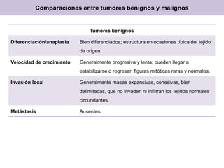 Comparaciones entre tumores benignos y malignos
Tumores benignos
Diferenciación/anaplasia Bien diferenciados; estructura en ocasiones típica del tejido
de origen.
Velocidad de crecimiento Generalmente progresiva y lenta; pueden llegar a
estabilizarse o regresar; figuras mitóticas raras y normales.
Invasión local Generalmente masas expansivas, cohesivas, bien
delimitadas, que no invaden ni infiltran los tejidos normales
circundantes.
Metástasis Ausentes.
 