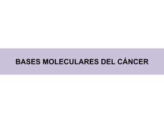BASES MOLECULARES DEL CÁNCER
 
