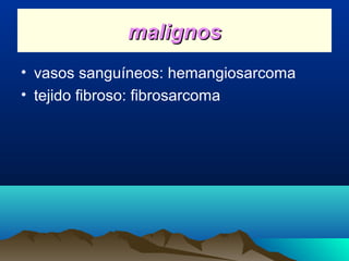 malignosmalignos
• vasos sanguíneos: hemangiosarcoma
• tejido fibroso: fibrosarcoma
 