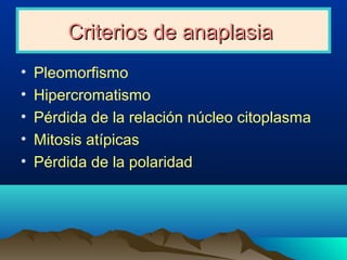 Criterios de anaplasiaCriterios de anaplasia
• Pleomorfismo
• Hipercromatismo
• Pérdida de la relación núcleo citoplasma
• Mitosis atípicas
• Pérdida de la polaridad
 