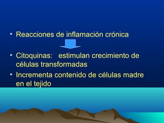 • Reacciones de inflamación crónica
• Citoquinas: estimulan crecimiento de
células transformadas
• Incrementa contenido de células madre
en el tejido
 