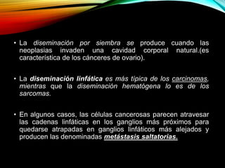 • La diseminación por siembra se produce cuando las
neoplasias invaden una cavidad corporal natural.(es
característica de los cánceres de ovario).
• La diseminación linfática es más típica de los carcinomas,
mientras que la diseminación hematógena lo es de los
sarcomas.
• En algunos casos, las células cancerosas parecen atravesar
las cadenas linfáticas en los ganglios más próximos para
quedarse atrapadas en ganglios linfáticos más alejados y
producen las denominadas metástasis saltatorias.
 