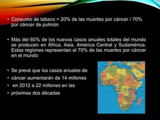 • Consumo de tabaco = 20% de las muertes por cáncer / 70%
por cáncer de pulmón
• Más del 60% de los nuevos casos anuales totales del mundo
se producen en África, Asia, América Central y Sudamérica.
Estas regiones representan el 70% de las muertes por cáncer
en el mundo
• Se prevé que los casos anuales de
• cáncer aumentarán de 14 millones
• en 2012 a 22 millones en las
• próximas dos décadas
 