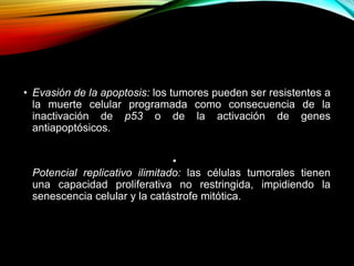 • Evasión de la apoptosis: los tumores pueden ser resistentes a
la muerte celular programada como consecuencia de la
inactivación de p53 o de la activación de genes
antiapoptósicos.
•
Potencial replicativo ilimitado: las células tumorales tienen
una capacidad proliferativa no restringida, impidiendo la
senescencia celular y la catástrofe mitótica.
 