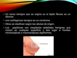 • Un tumor benigno que se origina en el tejido fibroso es un
fibroma.
• uno cartilaginoso benigno es un condroma.
• Otros se clasifican según las células de origen.
• Los papilomas son neoplasias epiteliales benignas que
crecen en cualquier superficie y dan lugar a frondas
microscópicas o macroscópicas digitiformes.
 