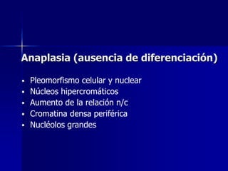 Anaplasia (ausencia de diferenciación)
 Pleomorfismo celular y nuclear
 Núcleos hipercromáticos
 Aumento de la relación n/c
 Cromatina densa periférica
 Nucléolos grandes
 