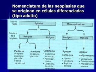 Nomenclatura de las neoplasias que
se originan en células diferenciadas
(tipo adulto)
 