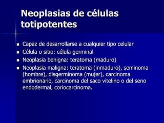 Neoplasias de células
totipotentes
 Capaz de desarrollarse a cualquier tipo celular
 Célula o sitio: célula germinal
 Neoplasia benigna: teratoma (maduro)
 Neoplasia maligna: teratoma (inmaduro), seminoma
(hombre), disgerminoma (mujer), carcinoma
embrionario, carcinoma del saco vitelino o del seno
endodermal, coriocarcinoma.
 