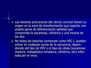  Las lesiones precursoras del cáncer cervical tienen su
origen en la zona de transformación que soporta una
amplia gama de diferenciación epitelial que
comprende la escamosa, cilíndrica y una mezcla de
las dos.
 No todas las lesiones comienzan como NIC I, pueden
entrar en cualquier punto de la secuencia, depen-
diendo del tipo de HPV y el tipo de célula (escamosa
madura, metaplásica inmadura, cilíndrica, etc) infec-
tada por el virus.
 