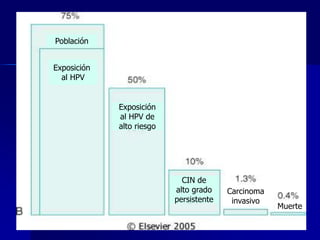 Población
Exposición
al HPV
Exposición
al HPV de
alto riesgo
CIN de
alto grado
persistente
Carcinoma
invasivo
Muerte
 