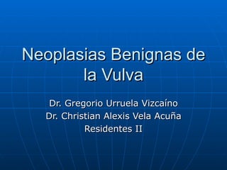 Neoplasias Benignas de la Vulva Dr. Gregorio Urruela Vizcaíno Dr. Christian Alexis Vela Acuña Residentes II 