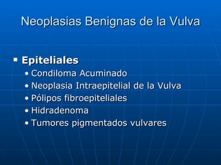 Neoplasias Benignas de la Vulva <ul><li>Epiteliales </li></ul><ul><ul><li>Condiloma Acuminado </li></ul></ul><ul><ul><li>N...