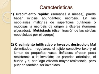 Características
1) Crecimiento rápido: (semanas a meses), puede
haber mitosis abundantes; necrosis. En las
neoplasias malignas de superficies cutáneas o
mucosas la necrosis da origen a úlceras (tumores
ulcerados). Metástasis (diseminación de las células
neoplásicas por el cuerpo)
2) Crecimiento infiltrativo e invasor, destructor: Mal
delimitados, irregulares; el tejido conectivo laxo y el
lumen de pequeños vasos linfáticos ofrecen poca
resistencia a la invasión; las paredes arteriales, el
hueso y el cartílago ofrecen mayor resistencia, pero
pueden también ser invadidos.
 