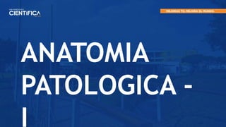 ANATOMIA
PATOLOGICA -
I
 
