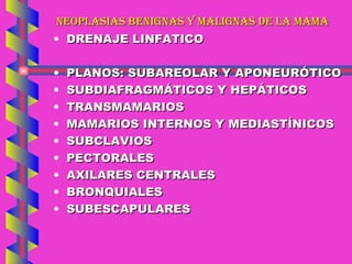 NEOPLASIAS BENIGNAS Y MALIGNAS DE LA MAMA DRENAJE LINFATICO PLANOS: SUBAREOLAR Y APONEURÓTICO SUBDIAFRAGMÁTICOS Y HEPÁTICOS TRANSMAMARIOS MAMARIOS INTERNOS Y MEDIASTÍNICOS SUBCLAVIOS PECTORALES AXILARES CENTRALES BRONQUIALES SUBESCAPULARES 