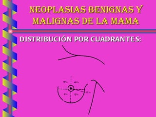 NEOPLASIAS BENIGNAS Y MALIGNAS DE LA MAMA DISTRIBUCIÓN POR CUADRANTES:   