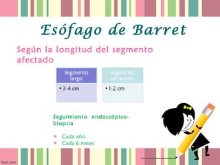 Esófago de Barret
Según la longitud del segmento
afectado




        Seguimiento endoscópico-
        biopsia

          Cada año
          Cada 6 meses
 