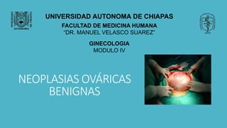 NEOPLASIAS OVÁRICAS
BENIGNAS
UNIVERSIDAD AUTONOMA DE CHIAPAS
FACULTAD DE MEDICINA HUMANA
“DR. MANUEL VELASCO SUAREZ”
GINECOLOGIA
MODULO IV
 