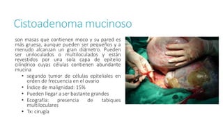 Cistoadenoma mucinoso
son masas que contienen moco y su pared es
más gruesa, aunque pueden ser pequeños y a
menudo alcanzan un gran diámetro. Pueden
ser uniloculados o multiloculados y están
revestidos por una sola capa de epitelio
cilíndrico cuyas células contienen abundante
mucina
• segundo tumor de células epiteliales en
orden de frecuencia en el ovario
• Índice de malignidad: 15%
• Pueden llegar a ser bastante grandes
• Ecografía: presencia de tabiques
multiloculares
• Tx: cirugía
 