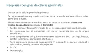 Neoplasias benignas de células germinales
Derivan de las células germinales primarias
Se originan en el ovario y pueden contener estructuras relativamente diferenciadas
como pelo o hueso.
El que se encuentra con mayor frecuencia en todas las edades es el teratoma
quístico benigno (quiste dermoide o dermoide)
• Pueden contener tejido diferenciado de las tres capas germinales embrionarias
• Los elementos que se encuentran con mayor frecuencia son los de origen
ectodérmico
• Otros componentes del quiste dermoide son: tejidos del SNC, cartílago, huesos,
dientes y elementos glandulares intestinales.
• Suele presentarse como una masa quística en la zona de los anejos, unilateral y
asintomática, móvil y sin dolor a la palpación
• Dx : TC
• Tx: quirúrgico
 