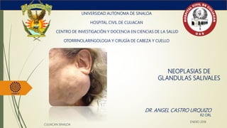 NEOPLASIAS DE
GLANDULAS SALIVALES
UNIVERSIDAD AUTONOMA DE SINALOA
HOSPITAL CIVIL DE CULIACAN
CENTRO DE INVESTIGACIÓN Y DOCENCIA EN CIENCIAS DE LA SALUD
OTORRINOLARINGOLOGIA Y CIRUGÍA DE CABEZA Y CUELLO
DR. ANGEL CASTRO URQUIZO
R2 ORL
CULIACAN SINALOA
ENERO 2018
 