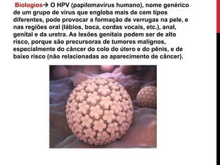 .
Biologios O HPV (papilomavírus humano), nome genérico
de um grupo de vírus que engloba mais de cem tipos
diferentes, pode provocar a formação de verrugas na pele, e
nas regiões oral (lábios, boca, cordas vocais, etc.), anal,
genital e da uretra. As lesões genitais podem ser de alto
risco, porque são precursoras de tumores malignos,
especialmente do câncer do colo do útero e do pênis, e de
baixo risco (não relacionadas ao aparecimento de câncer).
 