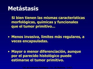 Metástasis Si bien tienen las mismas características morfológicas, químicas y funcionales que el tumor primitivo... Menos invasiva, limites más regulares, a veces encapsuladas. Mayor o menor diferenciación, aunque por el parecido histológico puede estimarse el tumor primitivo. Cát. de Anatomía Patológica - Fac. de Medicina - U.N.T. 