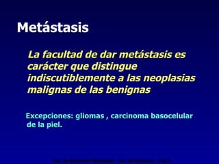 Metástasis La facultad de dar metástasis es carácter que distingue indiscutiblemente a las neoplasias malignas de las benignas Excepciones: gliomas , carcinoma basocelular de la piel. Cát. de Anatomía Patológica - Fac. de Medicina - U.N.T. 