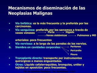 Mecanismos de diseminación de las Neoplasias Malignas Vía linfática:  es la más frecuente y la preferida por los carcinomas. Vía sanguínea:  preferida por los sarcomas a través de vasos venosos  arteriales: poco frecuentes Vía nerviosa:  a lo largo de las paredes de los nervios. Siembra en cavidades corporales: Transplante directo:  transporte por instrumentos quirúrgicos o manos enguantadas. Otros:  Líquido cefalorraquídeo, bronquios, uréter y tejidos en aposición: poco frecuentes. Peritoneo Pericardio Pleura Venas sistémicas Hígado Pulmones y MO Porta Cát. de Anatomía Patológica - Fac. de Medicina - U.N.T. 