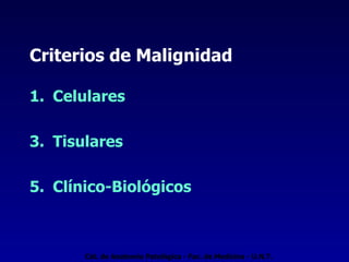 Criterios de Malignidad Celulares Tisulares Clínico-Biológicos Cát. de Anatomía Patológica - Fac. de Medicina - U.N.T. 