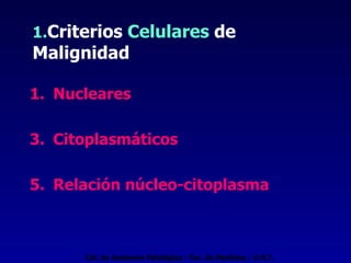 1. Criterios  Celulares  de  Malignidad Nucleares Citoplasmáticos Relación núcleo-citoplasma Cát. de Anatomía Patológica - Fac. de Medicina - U.N.T. 
