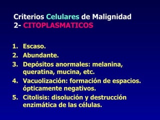 Criterios  Celulares  de Malignidad 2-  CITOPLASMATICOS Escaso. Abundante. Depósitos anormales: melanina, queratina, mucina, etc. Vacuolización: formación de espacios. ópticamente negativos. Citolisis: disolución y destrucción enzimática de las células. 
