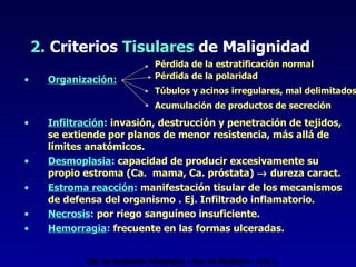 2.   Criterios  Tisulares  de Malignidad Organización: Infiltración :  invasión, destrucción y penetración de tejidos, se extiende por planos de menor resistencia, más allá de límites anatómicos. Desmoplasia :  capacidad de producir excesivamente su propio estroma (Ca.  mama, Ca. próstata)    dureza caract. Estroma reacción :  manifestación tisular de los mecanismos de defensa del organismo . Ej. Infiltrado inflamatorio. Necrosis :  por riego sanguíneo insuficiente. Hemorragia :  frecuente en las formas ulceradas. Pérdida de la estratificación normal Pérdida de la polaridad Túbulos y acinos irregulares, mal delimitados Acumulación de productos de secreción Cát. de Anatomía Patológica - Fac. de Medicina - U.N.T. 