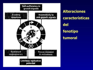 Alteraciones características del fenotipo  tumoral 