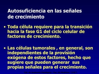 Autosuficiencia en las señales  de crecimiento Toda célula requiere para la transición hacia la fase G1 del ciclo celular de factores de crecimiento. Las células tumorales , en general, son independientes de la provisión exógena de estos factores, hecho que sugiere que pueden generar  sus propias señales para el crecimiento.  Cát. de Anatomía Patológica - Fac. de Medicina - U.N.T. 