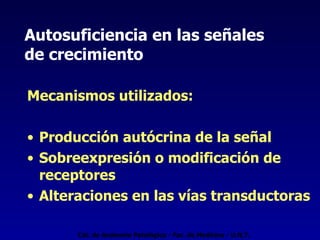 Autosuficiencia en las señales  de crecimiento Mecanismos utilizados:   Producción autócrina de la señal  Sobreexpresión o modificación de receptores Alteraciones en las vías transductoras Cát. de Anatomía Patológica - Fac. de Medicina - U.N.T. 