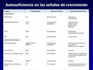 Autosuficiencia en las señales de crecimiento Tabla 7-8  Gastrointestinal stromal tumors and other soft tissue tumors Point mutation KIT Receptor for stem cell (steel) factor Gliomas Overexpression PDGF-R PDGF receptor Multiple endocrine neoplasia 2A and B, familial medullary thyroid carcinomas Point mutation RET Receptor for neurotrophic factors Leukemia Point mutation FMS CSF-1 receptor Squamous cell carcinomas of lung, gliomas Breast and ovarian cancers Overexpression Amplification ERB-B1 (ECFR) ERB-B2 EGF-receptor family Growth Factor Receptors Thyroid cancer Overexpression HGF HGF Astrocytomas Hepatocellular carcinomas Overexpression TGFα TGFα Stomach cancer Bladder cancer Breast cancer Melanoma Overexpression Amplification HST-1 INT-2 Fibroblast growth factors Astrocytoma Osteosarcoma Overexpression SIS PDGF-βchain Growth Factors Associated Human Tumor Mode of Activation Protooncogene Category 