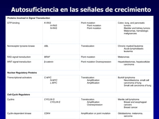 Autosuficiencia en las señales de crecimiento Glioblastoma, melanoma, sarcoma Amplification or point mutation CDK4 Cyclin-dependent kinase Mantle cell lymphoma Breast and esophageal cancers Breast cancer Translocation Amplification Overexpression CYCLIN D CYCLIN E Cyclins Cell-Cycle Regulators Burkitt lymphoma Neuroblastoma, small cell carcinoma of lung Small cell carcinoma of lung Translocation Amplification Amplification C-MYC N-MYC L-MYC Transcriptional activators Nuclear Regulatory Proteins Hepatoblastomas, hepatocellular carcinoma Point mutation Overexpression β- catenin WNT signal transduction Melanomas Point mutation BRAF RAS signal transduction Chronic myeloid leukemia Acute lymphoblastic leukemia Translocation ABL Nonreceptor tyrosine kinase Colon, lung, and pancreatic tumors Bladder and kidney tumors Melanomas, hematologic malignancies Point mutation Point mutation Point mutation K-RAS H-RAS N-RAS GTP-binding Proteins Involved in Signal Transduction 