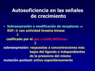 Autosuficiencia en las señales  de crecimiento Sobreexpresión o modificación de receptores    EGF:    con actividad tirosina kinasa  codificado por el  gen c-erbB/HER2neu    sobreexpresión:  respuestas a concentraciones más bajas del ligando o independientes  de la presencia del mismo mutación puntual:  activo espontáneamente Cát. de Anatomía Patológica - Fac. de Medicina - U.N.T. 
