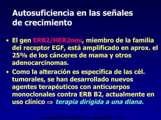 Autosuficiencia en las señales  de crecimiento El gen  ERB2/HER2neu , miembro de la familia del receptor EGF, está amplificado en aprox. el 25% de los cánceres de mama y otros adenocarcinomas.  Como la alteración es específica de las cél. tumorales, se han desarrollado nuevos agentes terapéuticos con anticuerpos monoclonales contra ERB B2, actualmente en uso clínico     terapia dirigida a una diana. Cát. de Anatomía Patológica - Fac. de Medicina - U.N.T. 