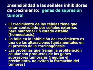 Insensibildad a las señales inhibidoras de crecimiento:  genes de supresión tumoral El crecimiento de las células tiene que estar controlado por señales externas para mantener un estado estable (homeostasis). La falla en la inhibición del crecimiento es una de las alteraciones fundamentales en el proceso de la carcinogénesis. Las proteínas que frenan la proliferación celular son productos de los genes supresores tumorales (regulan el crecimiento, no evitan la formación del tumores) Cát. de Anatomía Patológica - Fac. de Medicina - U.N.T. 