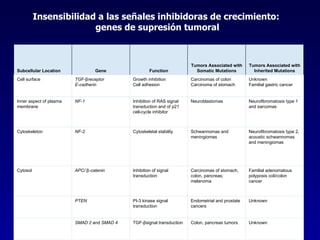 Insensibilidad a las señales inhibidoras de crecimiento:  genes de supresión tumoral Unknown Colon, pancreas tumors TGF-βsignal transduction SMAD 2  and  SMAD 4   Unknown Endometrial and prostate cancers PI-3 kinase signal transduction PTEN   Familial adenomatous polyposis coli/colon cancer Carcinomas of stomach, colon, pancreas; melanoma Inhibition of signal transduction APC/  β -catenin Cytosol Neurofibromatosis type 2, acoustic schwannomas and meningiomas Schwannomas and meningiomas Cytoskeletal stability NF-2 Cytoskeleton Neurofibromatosis type 1 and sarcomas Neuroblastomas Inhibition of RAS signal transduction and of p21 cell-cycle inhibitor NF-1 Inner aspect of plasma membrane Unknown Familial gastric cancer Carcinomas of colon Carcinoma of stomach Growth inhibition Cell adhesion TGF- β receptor E-cadherin Cell surface Tumors Associated with Inherited Mutations Tumors Associated with Somatic Mutations Function Gene Subcellular Location 